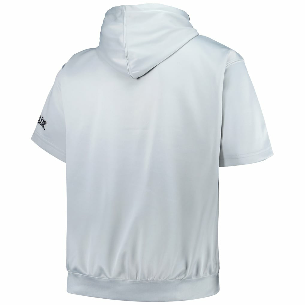New Orleans Pelicans Big & Tall Logo Pullover Hoodie - Silver | Fanatics shop