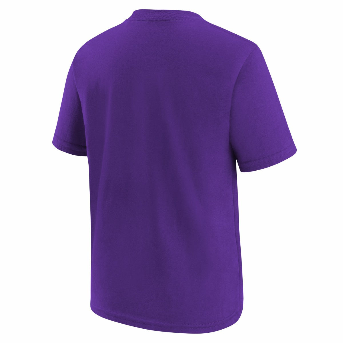 Sacramento Kings Youth Practice T-Shirt - Purple | Nike outlet