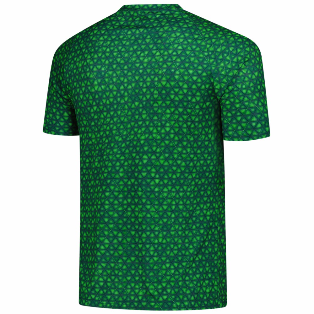 Manchester City 2025/26 Pre-Match Training Jersey - Green | Puma sale