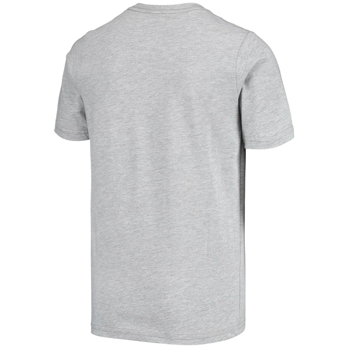 Steve Nash Phoenix Suns Youth Hardwood Classics King of the Court Player T-Shirt - Gray | Mitchell & Ness discount