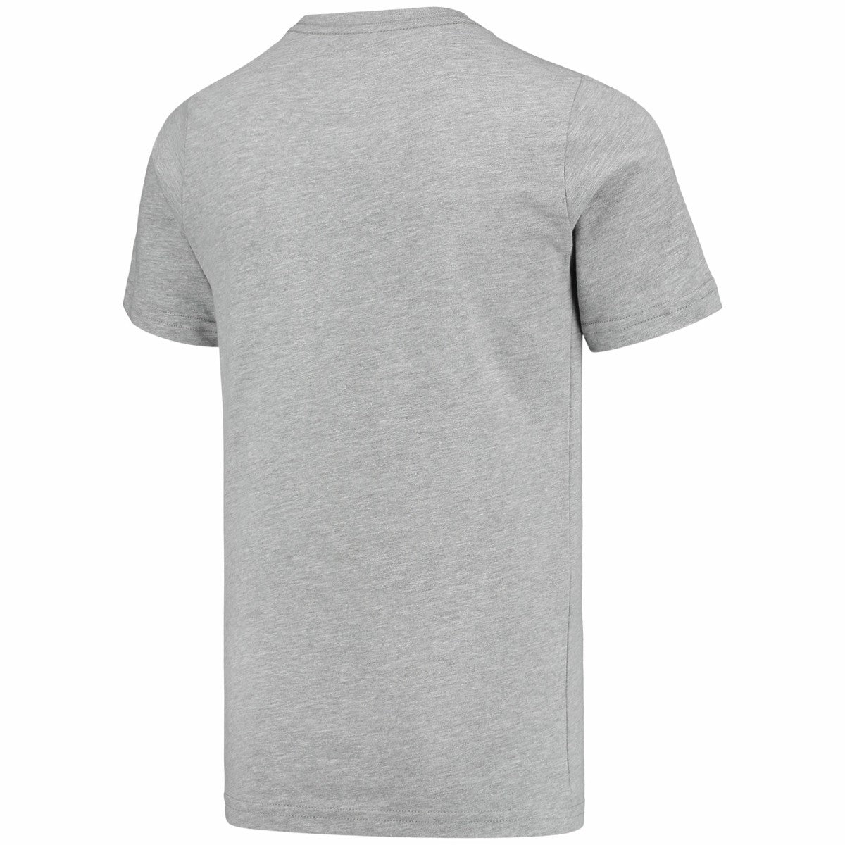 Vince Carter Toronto Raptors Youth Hardwood Classics King of the Court Player T-Shirt - Gray | Mitchell & Ness sale
