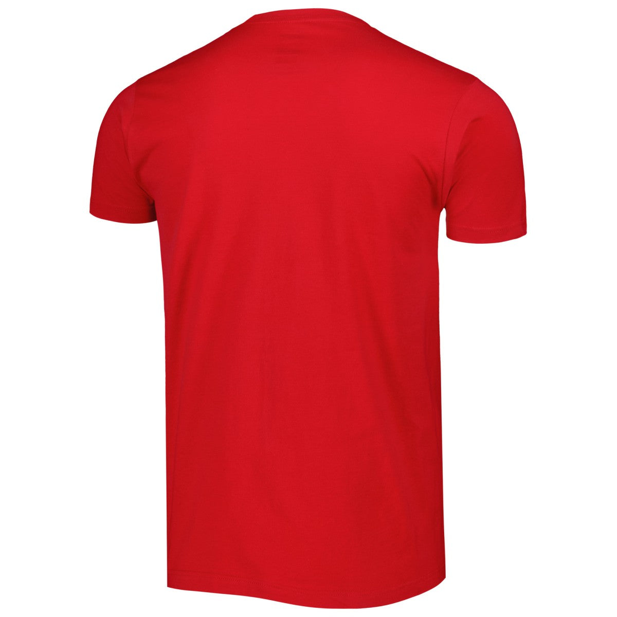 Toronto Raptors Stadium Essentials Unisex Element Logo Pop T-Shirt - Red for sale