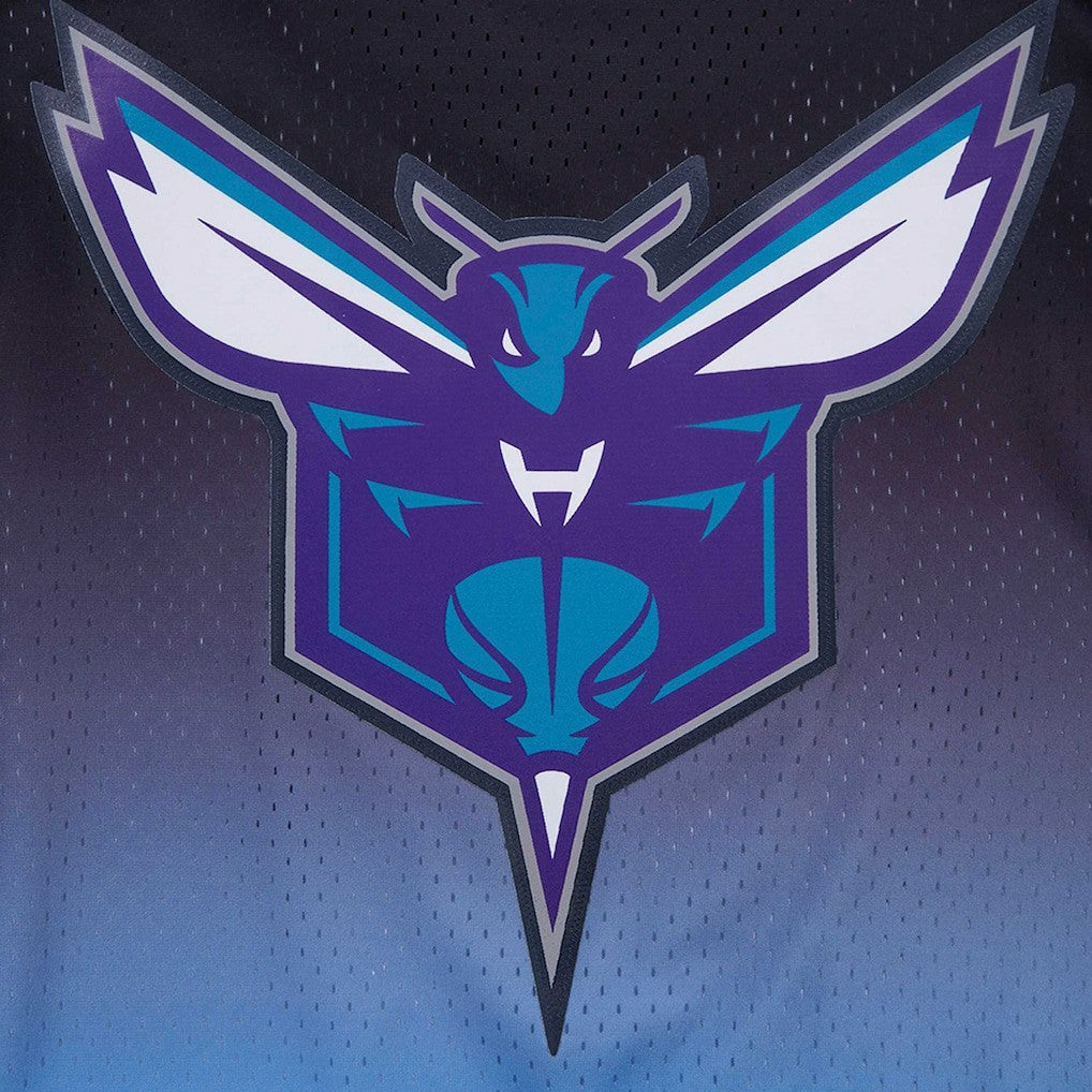 LaMelo Ball Charlotte Hornets Post Ombre Name & Number T-Shirt - Navy/Blue online