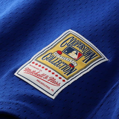 Joe Carter Toronto Blue Jays Authentic Batting Practice Jersey - Royal | Mitchell & Ness