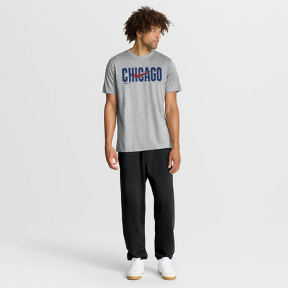 Chicago Cubs Swoosh Legend Dri-FIT T-Shirt - Heather Gray | Nike