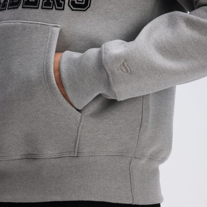 Las Vegas Raiders IconicFleece Flocked Hoodie - Heather Gray sale