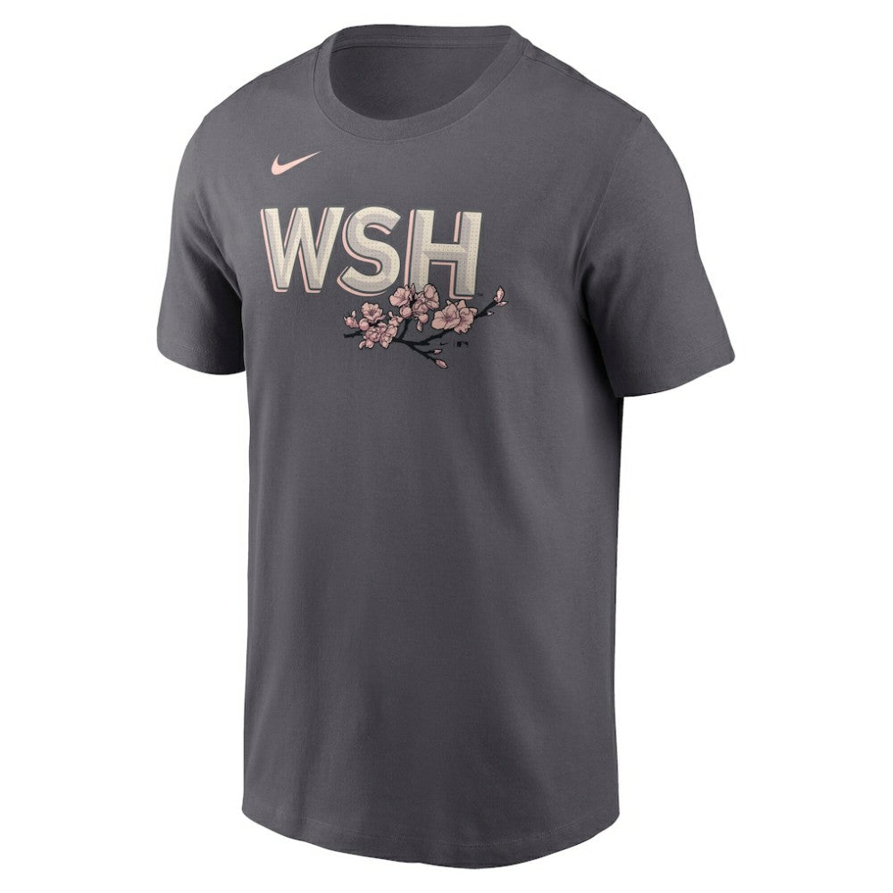 Keibert Ruiz Washington Nationals City Connect Fuse Name & Number T-Shirt - Gray | Nike