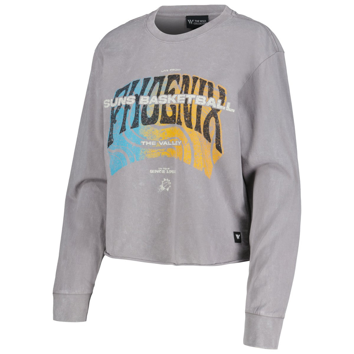 Phoenix Suns The Wild Collective Women's Band Cropped Long Sleeve T-Shirt - Gray on sale