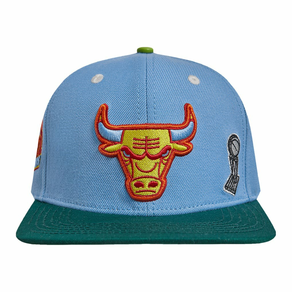 Chicago Bulls Pro Standard Retro Program 2-Tone Snapback Hat - Light Blue/Green discount