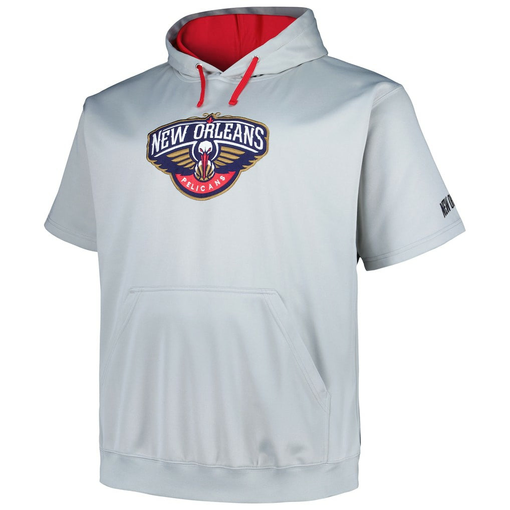 New Orleans Pelicans Big & Tall Logo Pullover Hoodie - Silver | Fanatics shop