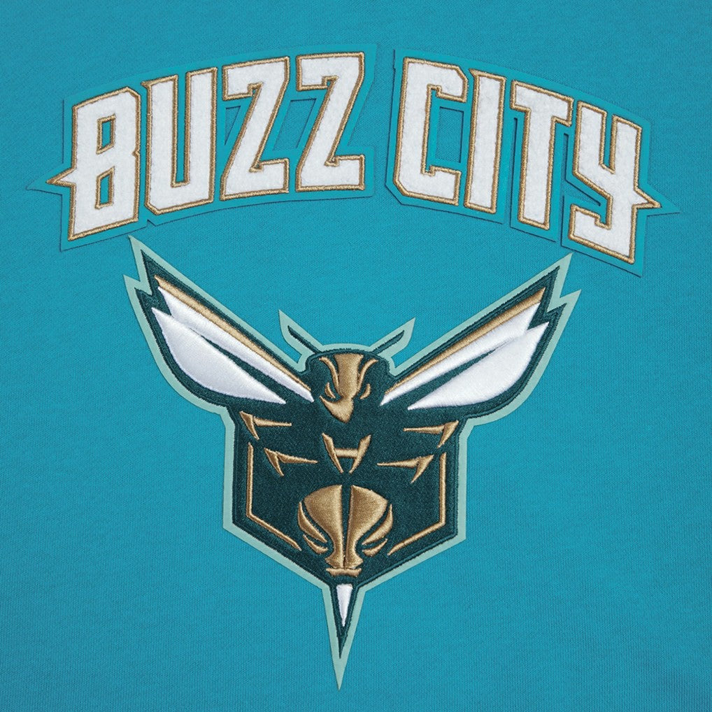Charlotte Hornets Pro Standard Women's 2023/24 City Edition Cropped Pullover Hoodie - Teal on sale