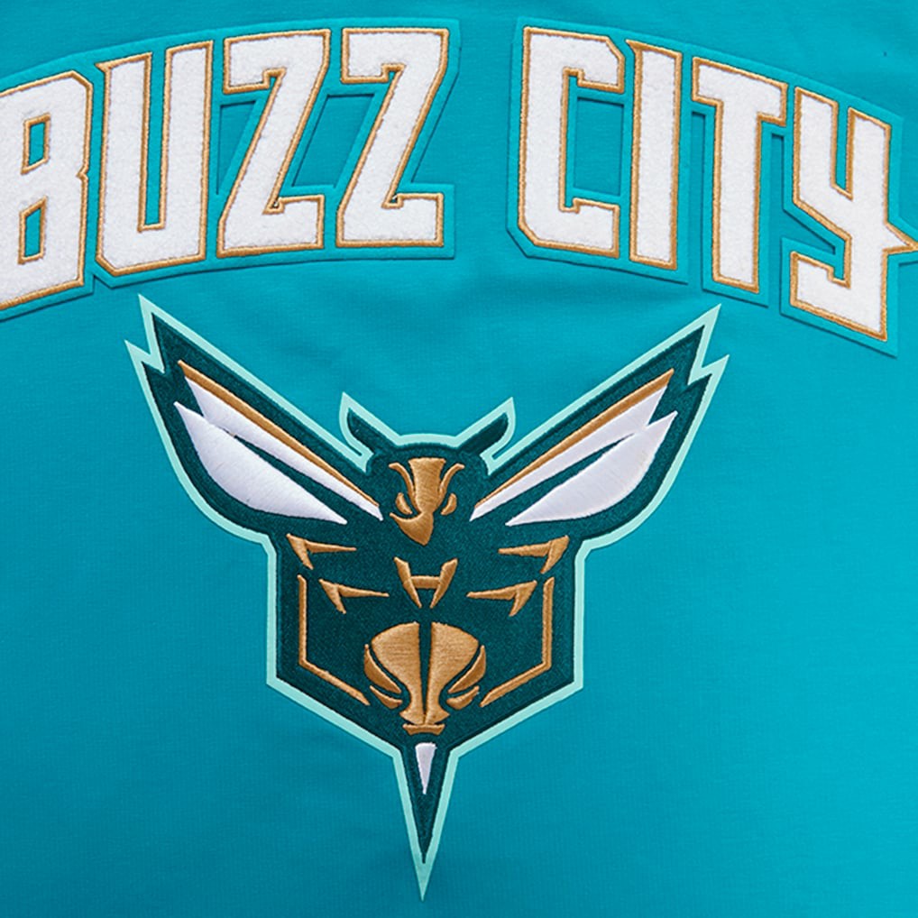 Charlotte Hornets Pro Standard 2023 City Edition T-Shirt - Teal online