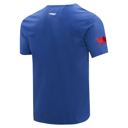 Sacramento Kings Pro Standard T-Shirt - Blue cheap