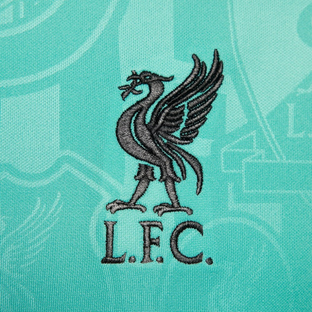 Liverpool 2024/25 Academy Pro Pre-Match Top - Teal | Nike cheap