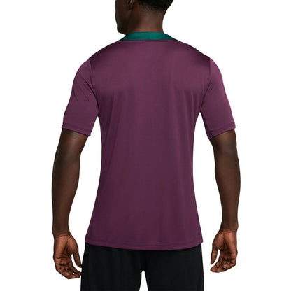 Paris Saint-Germain 2024/25 Strike Performance Top - Burgundy | Nike shop