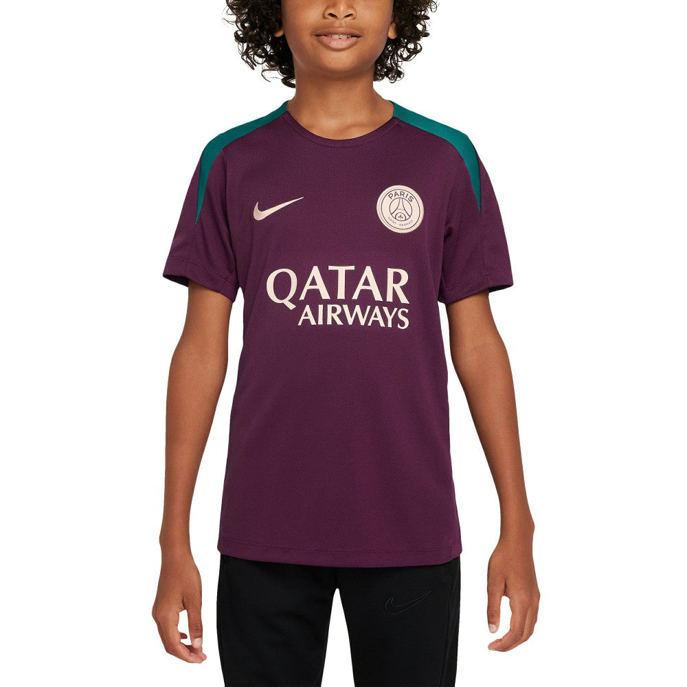 Paris Saint-Germain Youth 2024/25 Strike Training Performance Top - Burgundy | Nike discount