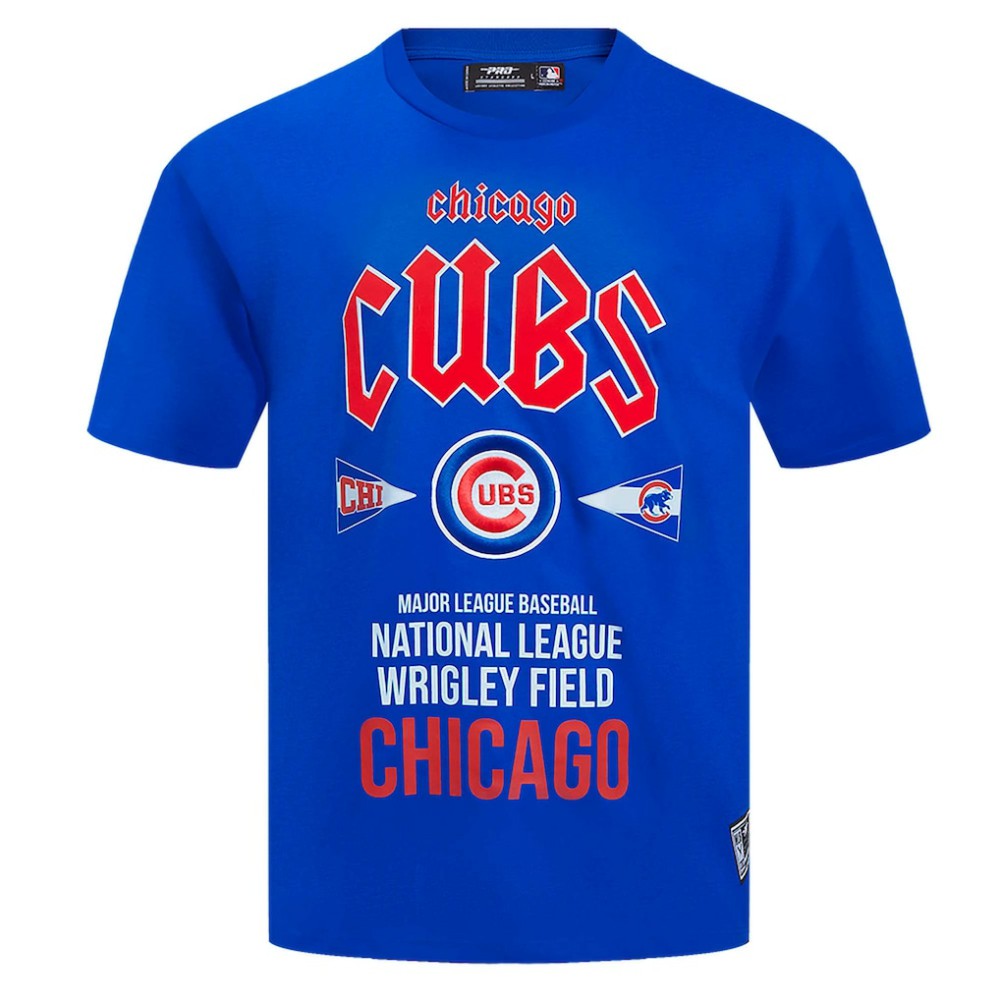 Chicago Cubs Pro Standard Oversized City Tour T-Shirt - Royal