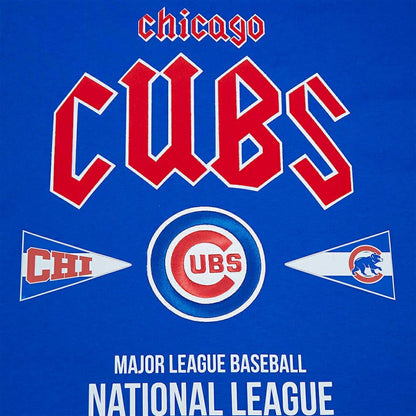 Chicago Cubs Pro Standard Oversized City Tour T-Shirt - Royal