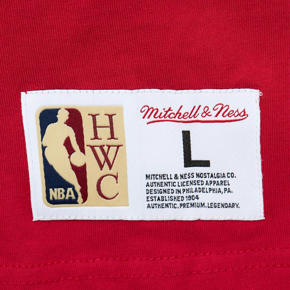 Atlanta Hawks Hardwood Classics Team OG 2.0 Premium Vintage Logo T-Shirt - Red | Mitchell & Ness outlet