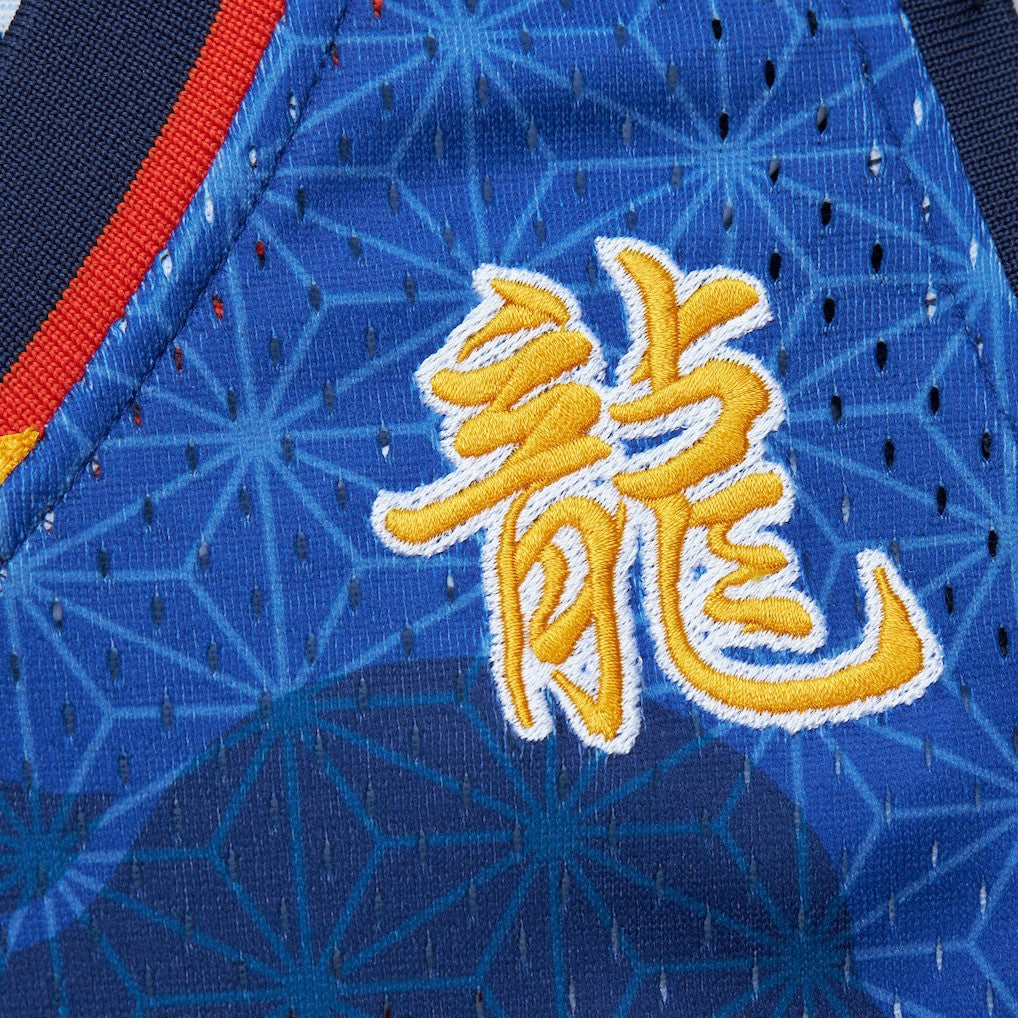 Baron Davis Golden State Warriors 2006/07 Hardwood Classics Asian Heritage 6.0 Swingman Throwback Player Jersey sale - Royal | Mitchell & Ness online