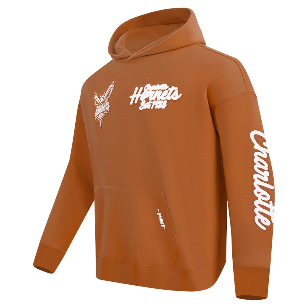 Charlotte Hornets Pro Standard Paint the City Drop Shoulder Pullover Hoodie - Brown discount