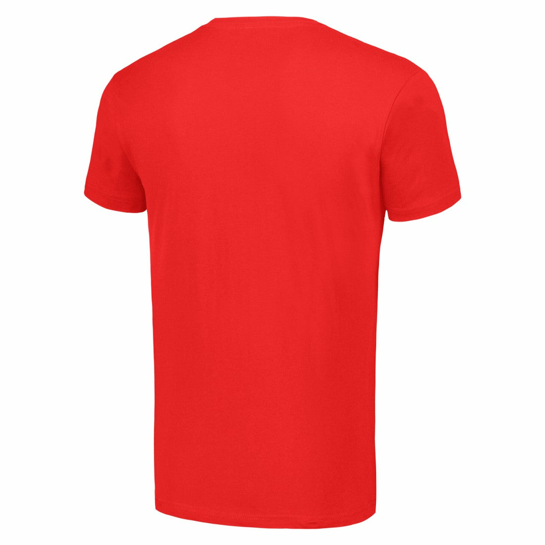 Houston Texans Starter City Tailsweep T-Shirt - Red discount