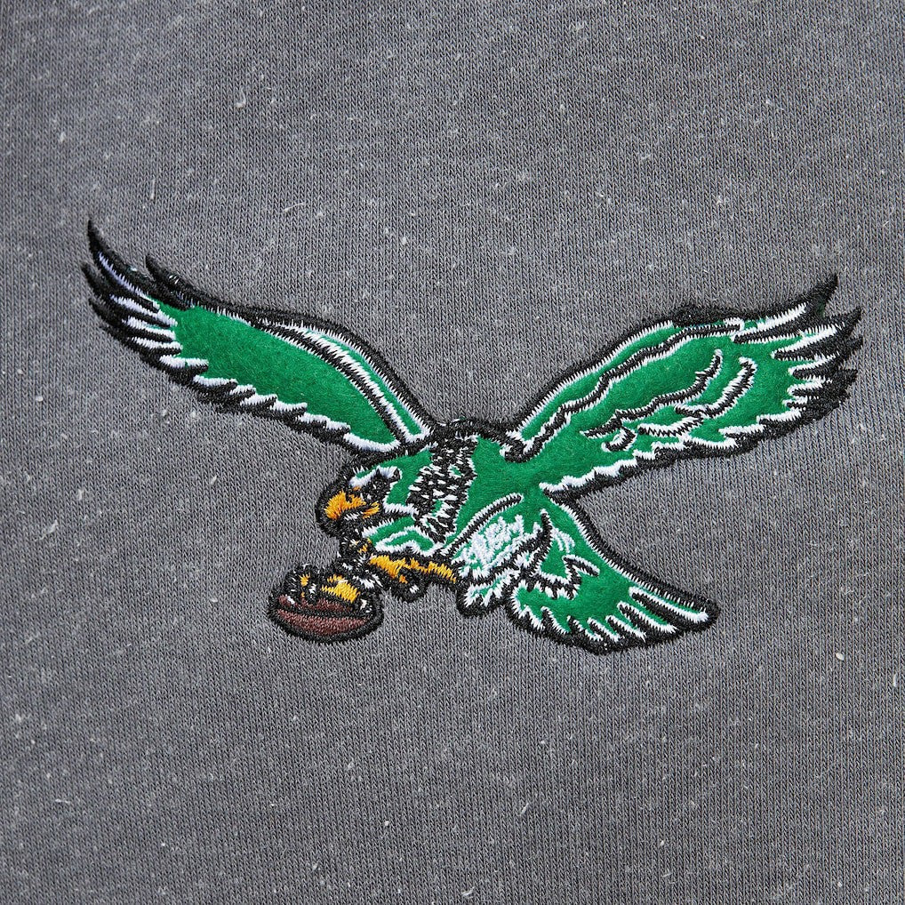 Philadelphia Eagles Vintage Logo Snow Washed Fleece Pullover Hoodie - Heather Gray outlet