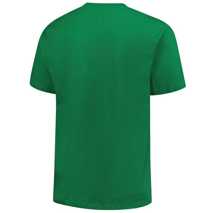 Detroit Tigers Profile Big & Tall Celtic T-Shirt - Kelly Green