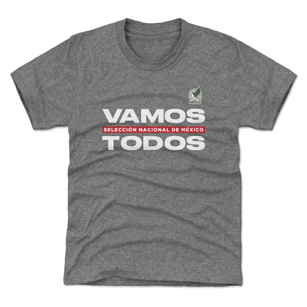 Mexico National Team 500 Level Youth Vamos Todos T-Shirt - Gray online