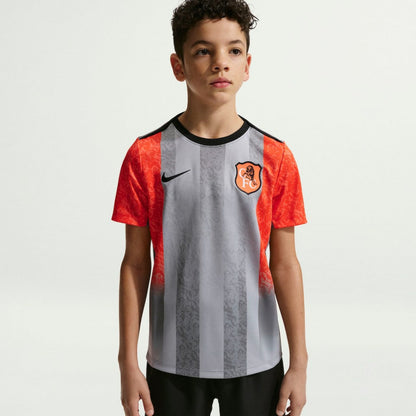 Chelsea Youth 2025/26 Academy Pro Pre-Match Top - Gray | Nike cheap