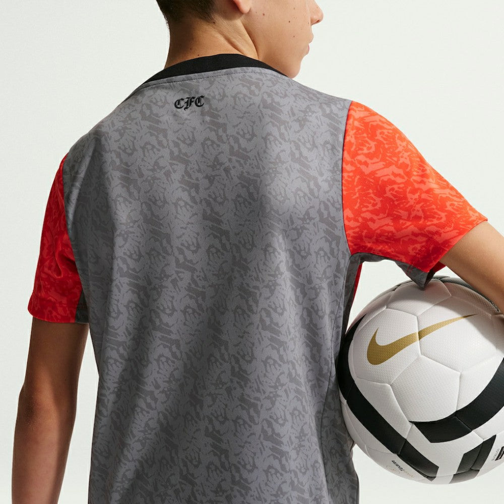 Chelsea Youth 2025/26 Academy Pro Pre-Match Top - Gray | Nike cheap