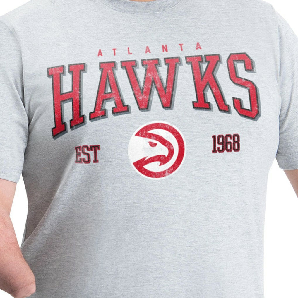 Atlanta Hawks G-III Sports by Carl Banks Adaptive Classic Team Spirit Short Sleeve T-Shirt - Gray for sale