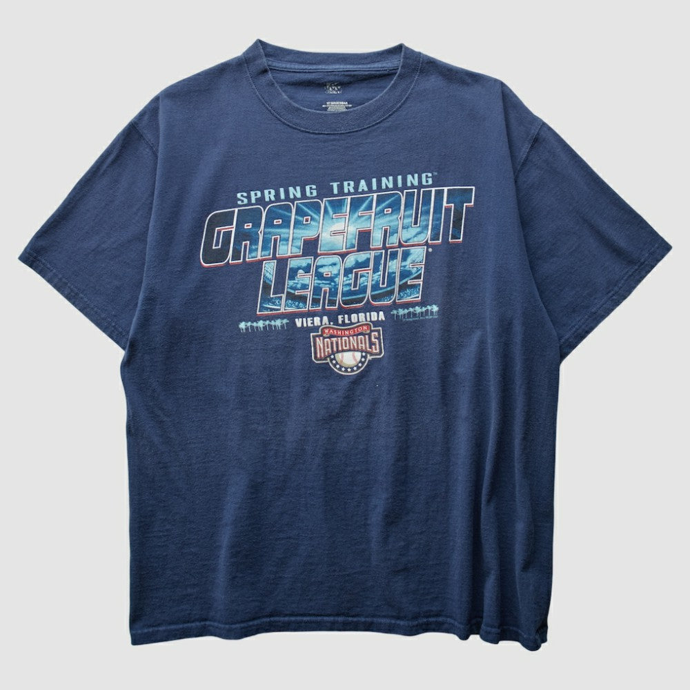 Washington Nationals 2000s T-Shirt - Navy Vintage