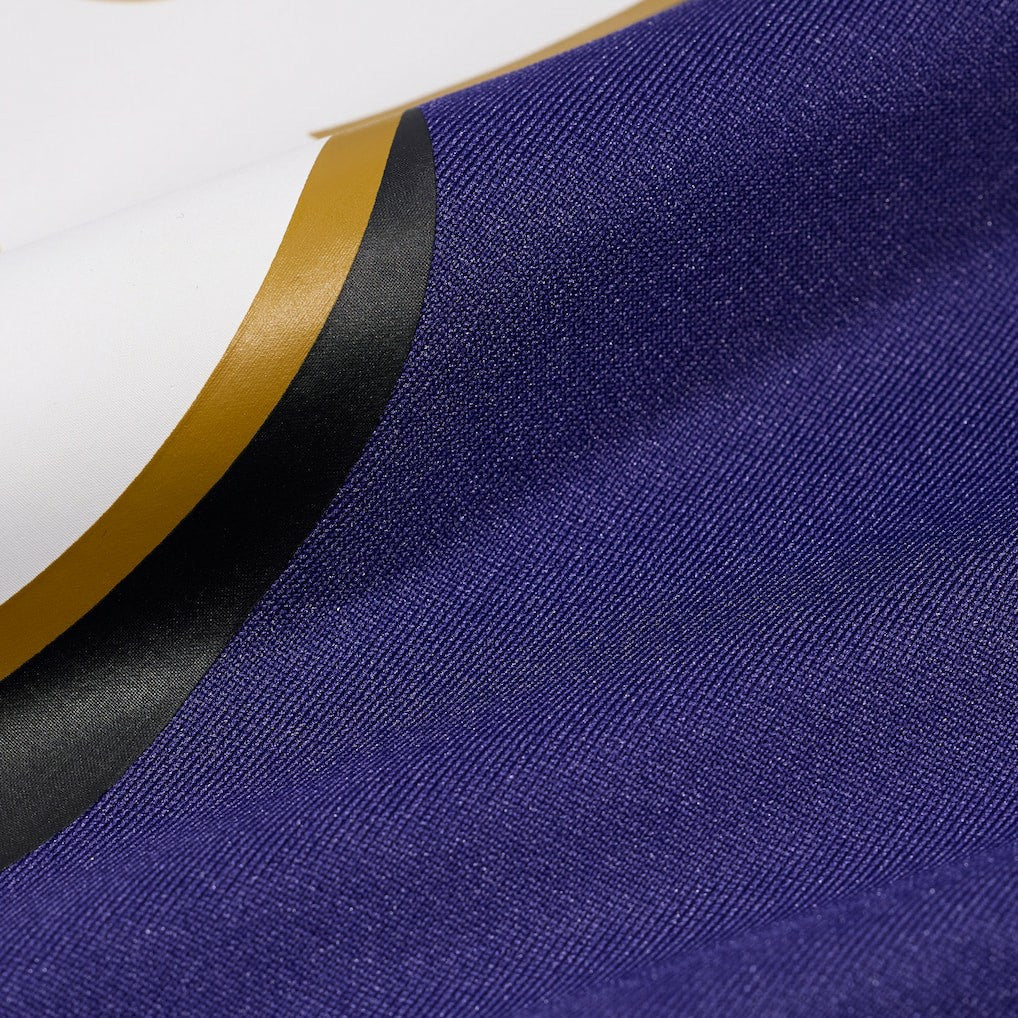 LaJohntay Wester Baltimore Ravens Team Game Jersey - Purple | Nike sale