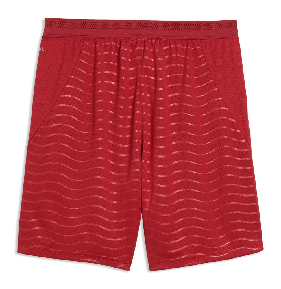 Portugal National Team 2026 Replica Shorts - Red | Puma cheap