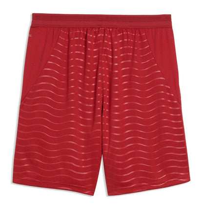 Portugal National Team 2026 Replica Shorts - Red | Puma cheap