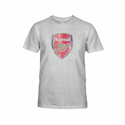 Arsenal 1863FC Youth Color Badge T-Shirt - Gray sale
