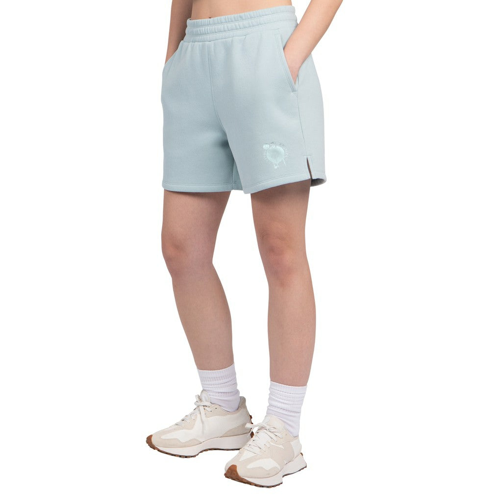 Boston Celtics Starter Women's Pastel High Waisted Shorts - Light Blue for sale