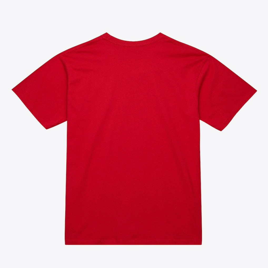 Atlanta Hawks Unisex Hardwood Classics Arch T-Shirt - Red | Mitchell & Ness online