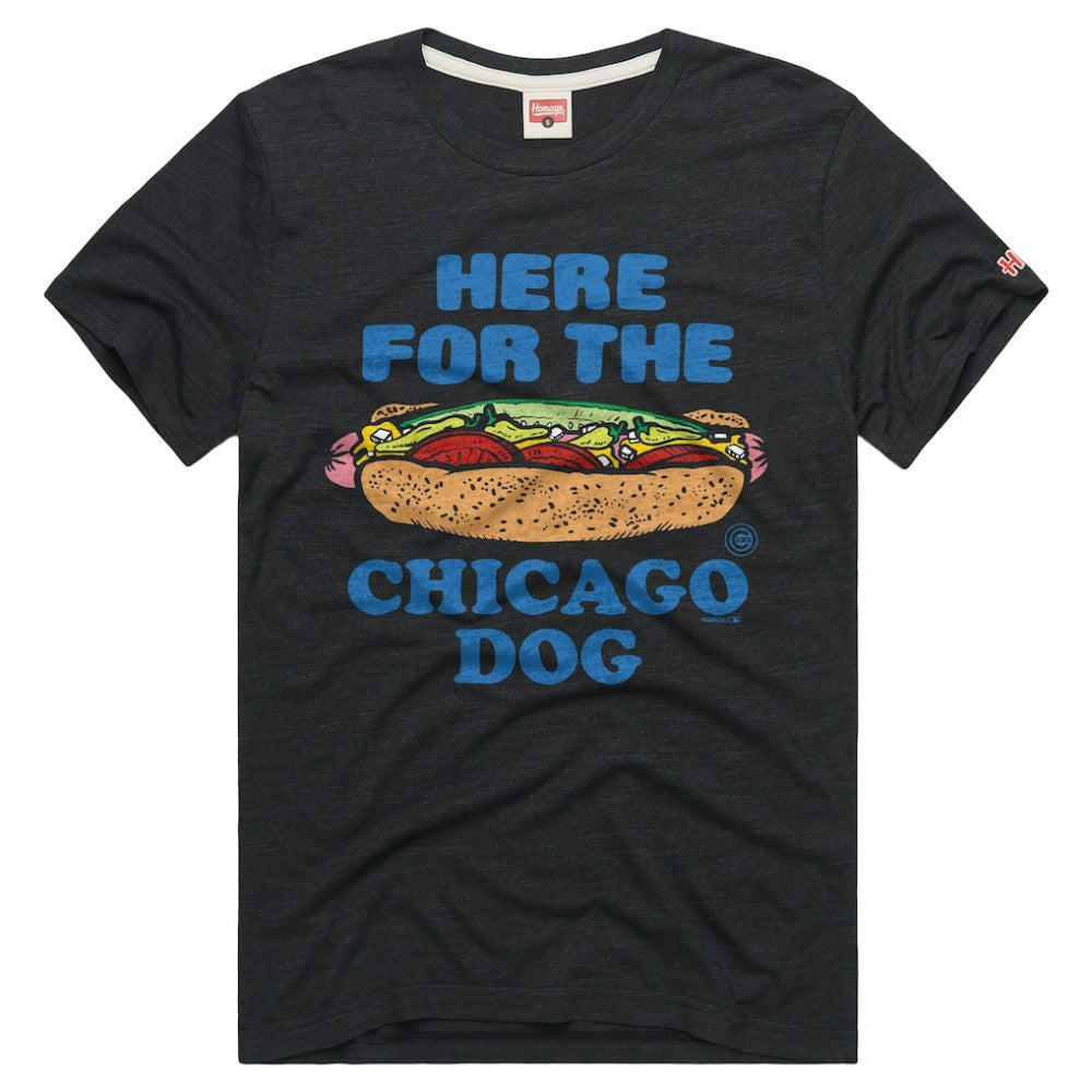 Chicago Cubs Homage Tri-Blend Hyperlocal T-Shirt - Charcoal