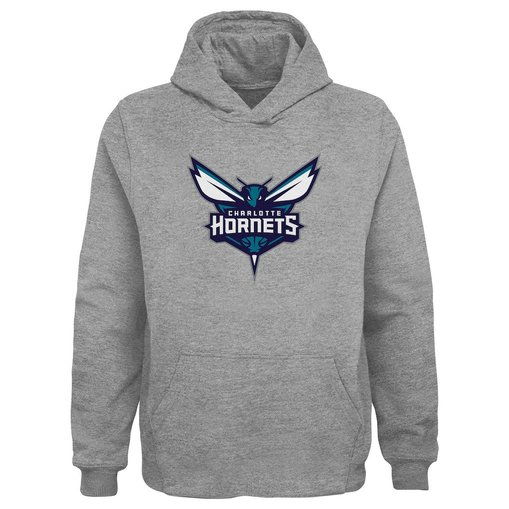 Charlotte Hornets Outerstuff Youth Primary Logo Pullover Hoodie - Gray sale