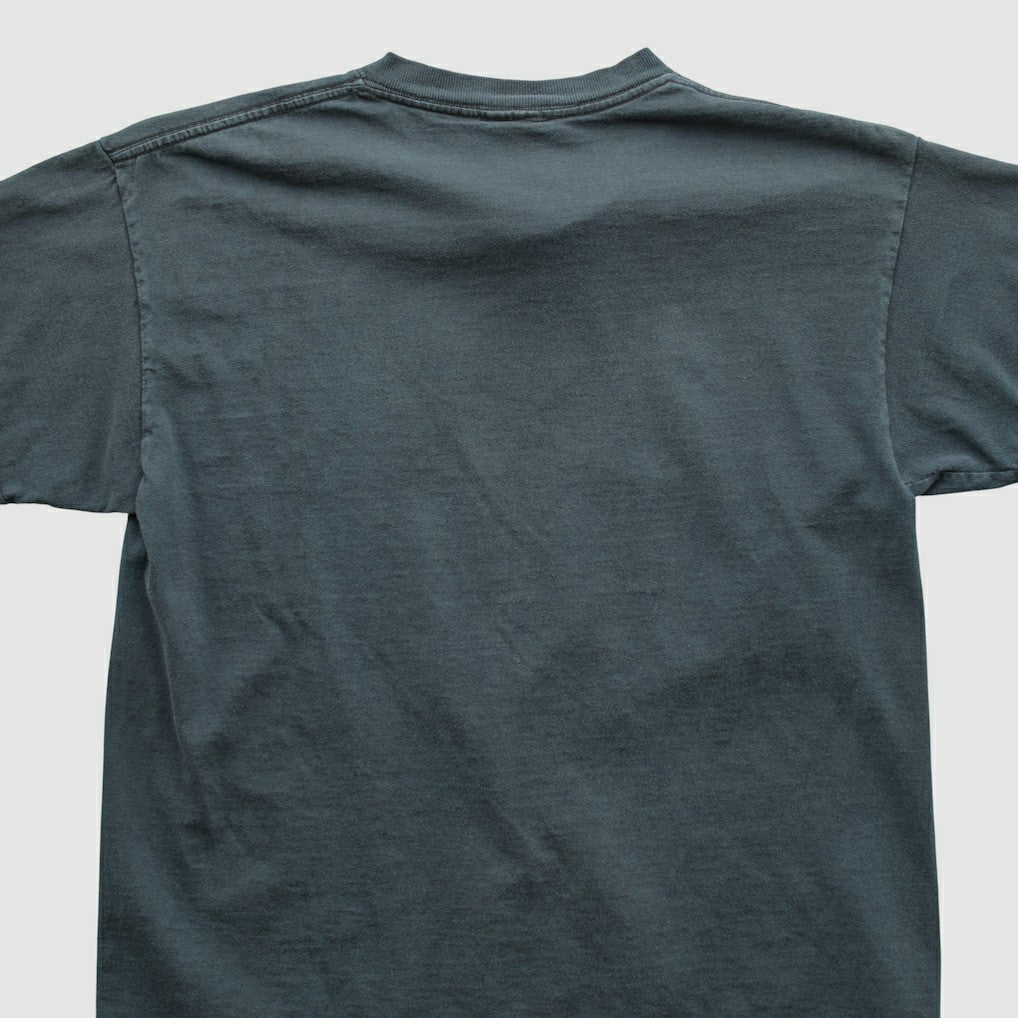 Carolina Panthers NFL 2000s T-shirt - Navy Vintage online