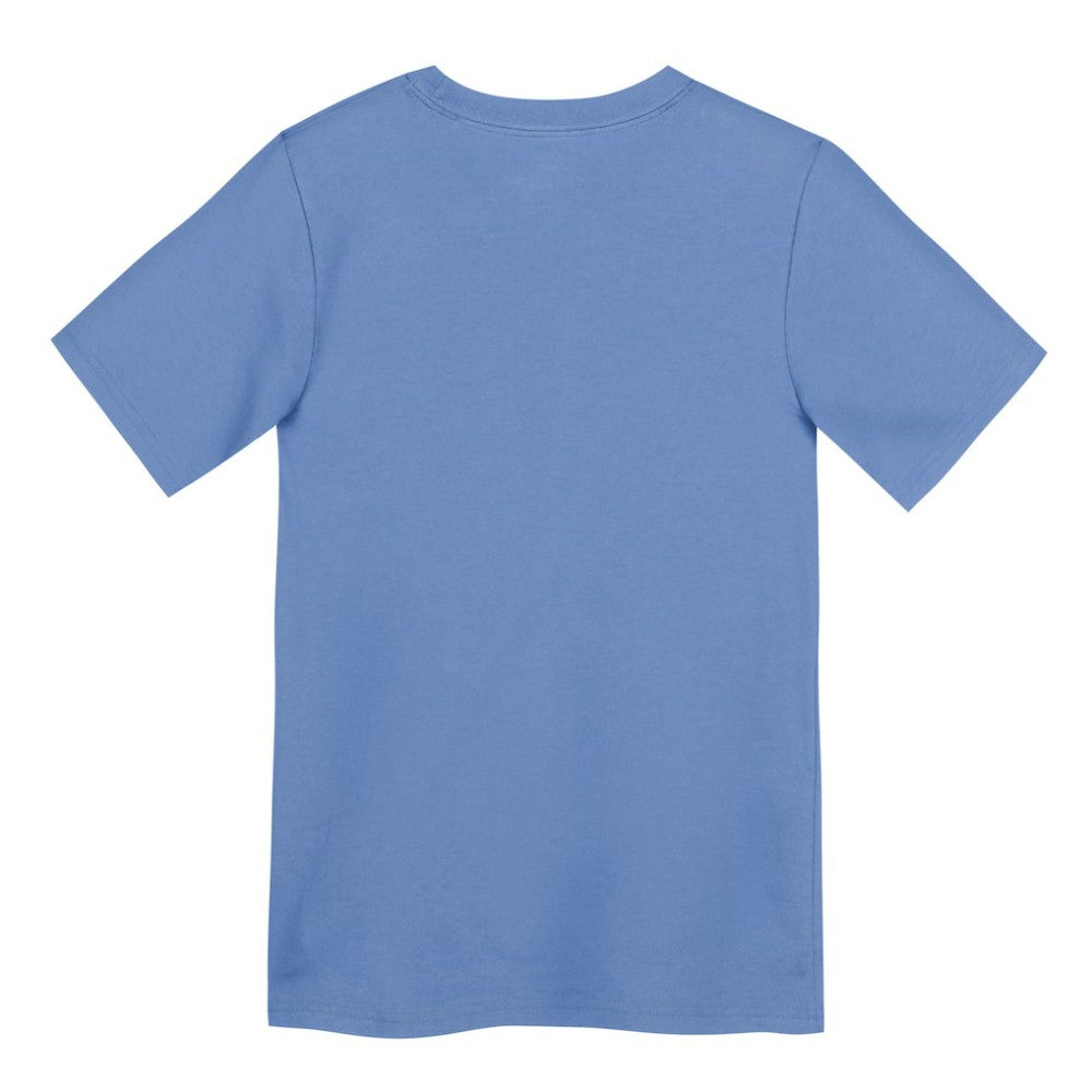 Chicago Cubs Preschool Electric Bear Alternate T-Shirt - Light Blue | Nike