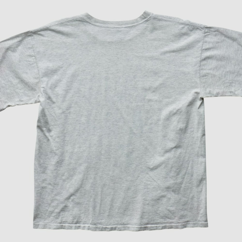Boston Red Sox Salem Sportswear 90s T-shirt - Heather Gray Vintage