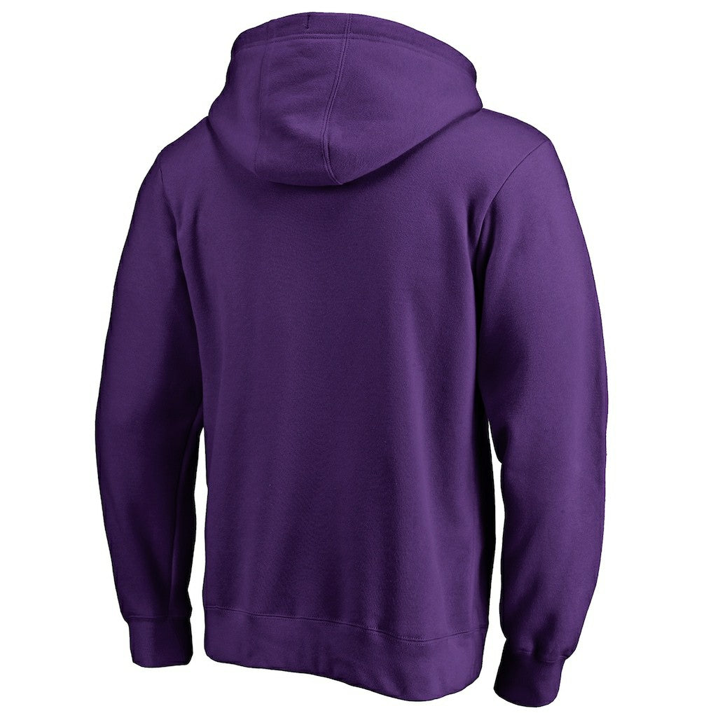 Charlotte Hornets We Are Iconic Collection Pullover Hoodie - Purple shop