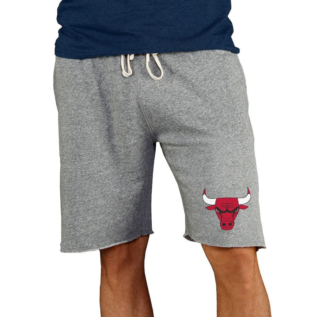 Chicago Bulls Concepts Sport Mainstream Terry Shorts - Gray outlet