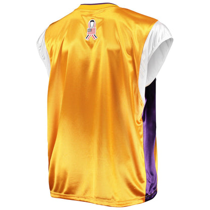 Los Angeles Lakers Hardwood Classics Big & Tall On-Court Shooting V-Neck Shirt - Gold/Purple | Mitchell & Ness sale