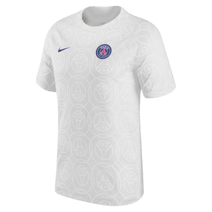 Paris Saint-Germain 2022/23 Pre-Match Top - Gray | Nike on sale