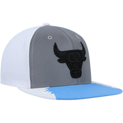 Chicago Bulls Day 5 Snapback Hat - Silver/Blue | Mitchell & Ness sale
