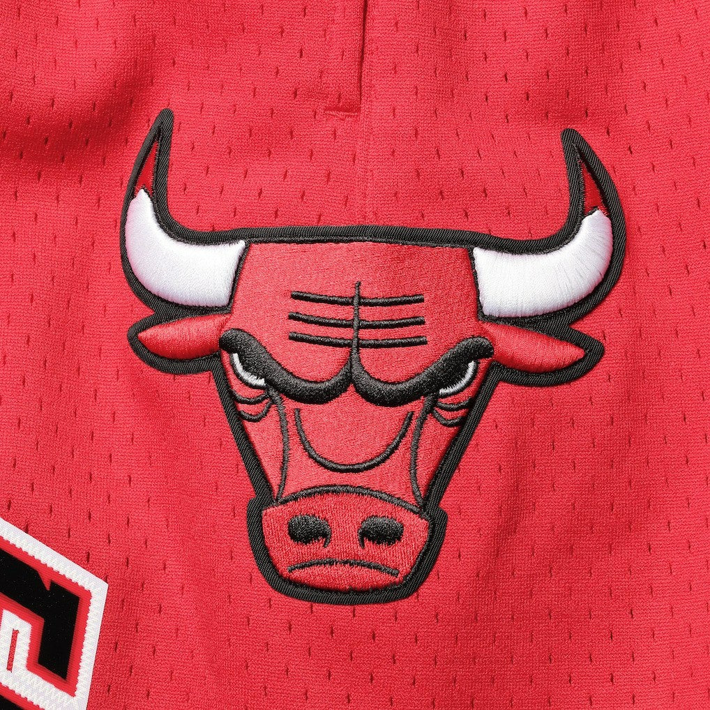 Chicago Bulls Pro Standard Mesh Capsule Shorts - Red on sale